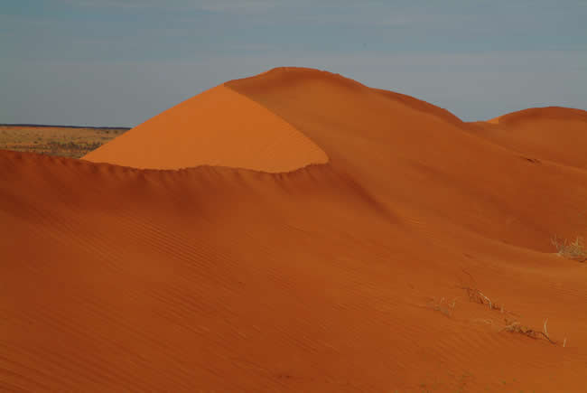 Dune, North Simpson Desert, Northern Territory, Australia.