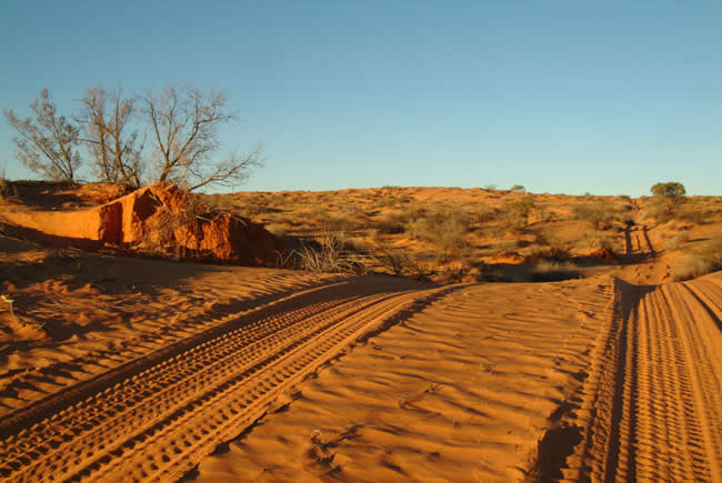 The French Line, Simpson Desert, South Australia.