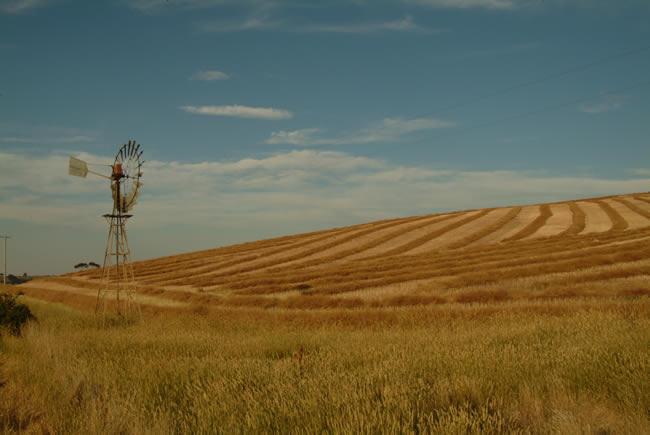 Windmill on hay field, at Ceres, near Geelong, Victoria, Australia.