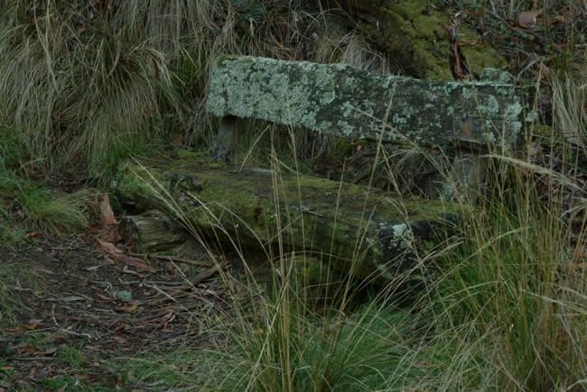Old lichen covered seat, Argyle mineral springs, Victoria, Australia.