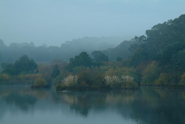 Crisp and foggy, Lake Daylesford, Victoria, Australia.