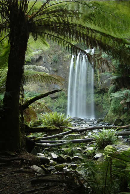 Hopetoun Falls, Otways Forest, Victoria, Australia.