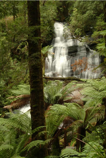 Triplet Falls, Otways State Forest, Victoria, Australia.