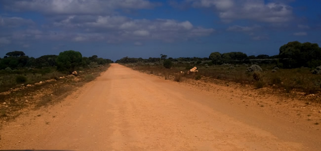 Eyre Bird Observatory access track, Western Australia.
