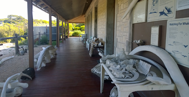 The 'museum verandah' at the restored limestone Telegraph Station building that houses the Eyre Bird Observatory, Eyre, Western Australia.