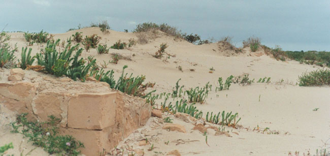More ruins at the old Telegraph Station in 2004, at Eucla, Western Australia.