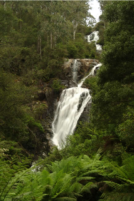 Steavenson's Falls, near Marysville, Victoria, Australia.