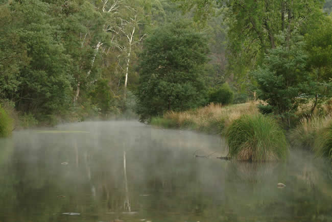 Morning mist on the Crooked River, near Talbotville, alpine Victoria, Australia.