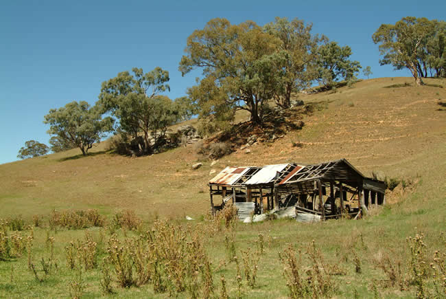 Old shed, near Dargo township, alpine Victoria, Australia.