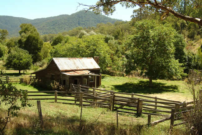 Farmlet, near Dargo township, alpine Victoria, Australia.