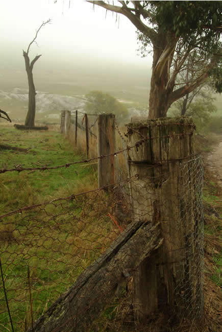 Cobaw foothills, Macedon, central Victoria, Australia.