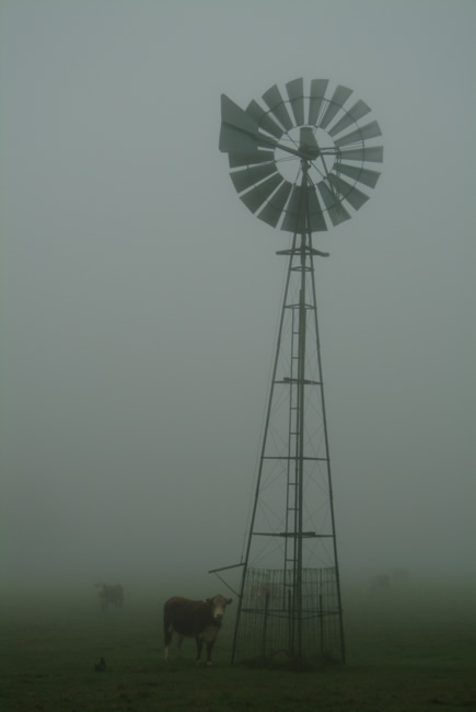 Windmill at Pipers Creek, near Kyneton, Macedon Ranges, central Victoria, Australia.