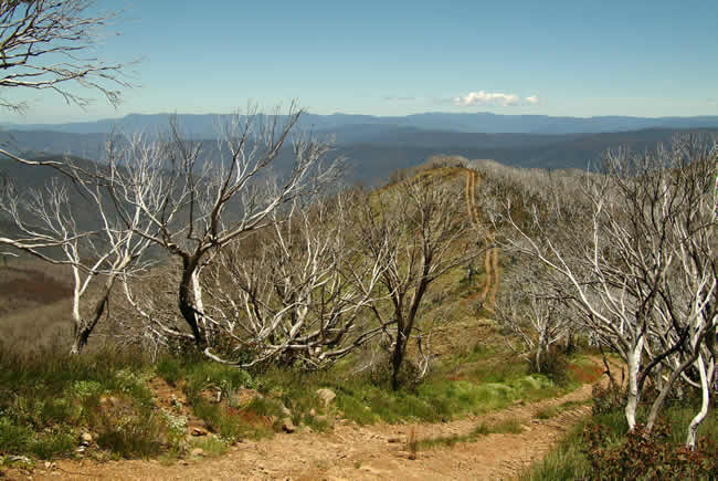 View from Mt Blue Rag, alpine Victoria, Australia.