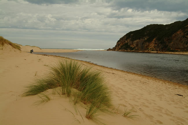 River mouth, Glen Aire beach, near Cape Otway, Otways Forest, Victoria, Australia.