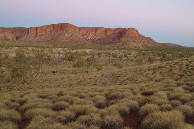 Purnululu National Park, or Bungle Bungle, at twilight, Kimberley, Western Australia.