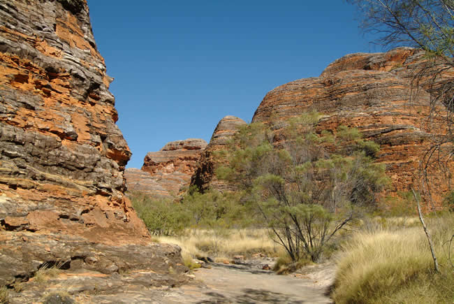 Purnululu National Park, or Bungle Bungle domes, Kimberley, Western Australia.