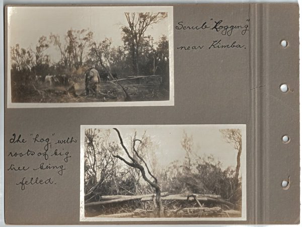 Scrub "Logging" near Kimba; The "Log" with roots of big tree being felled.