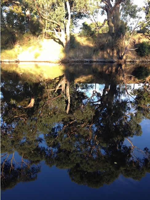 Reflections of trees in the water of the Erskine River, at Lorne, Victoria, Australia.