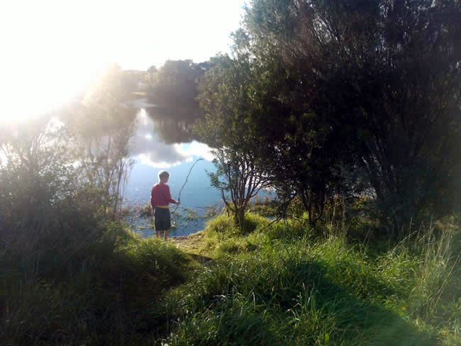 Small boy just enjoying himself playing in the grass at the water's edge. Augustine's Dam, Highton, Victoria, Australia