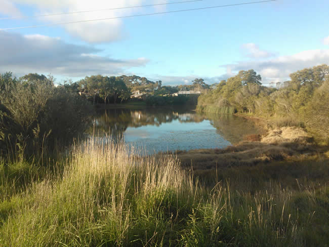 Augustine's Dam is quite an extensive waterhole, located in suburban Highton. A quiet place, where you kick back and relax.