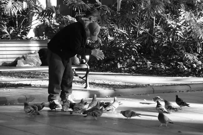 Feeding the pigeons in Hyde Park, Sydney, New South Wales, Australia.