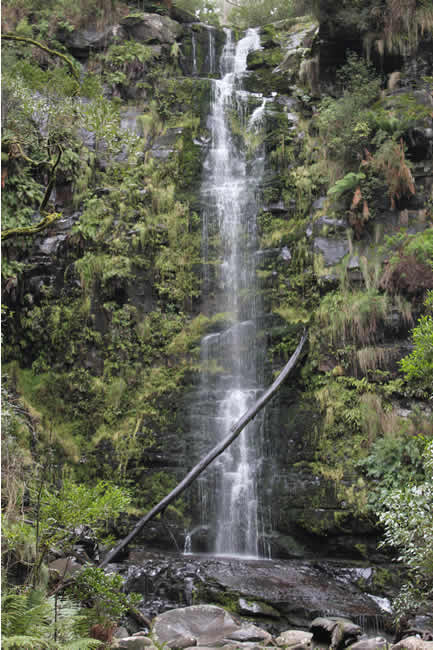 Erskine Falls, near Lorne, Otways Forest, Victoria, Australia.