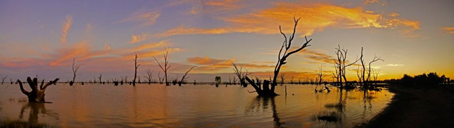 Panorama of Lake Victoria, New South Wales, Australia.