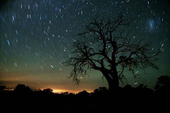 A time exposure of the stars, near Maldon, Victoria, Australia.