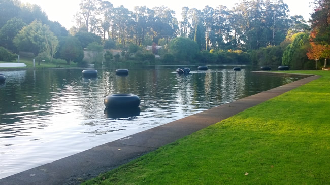 Fonty's Pool, near Manjimup, Western Australia.