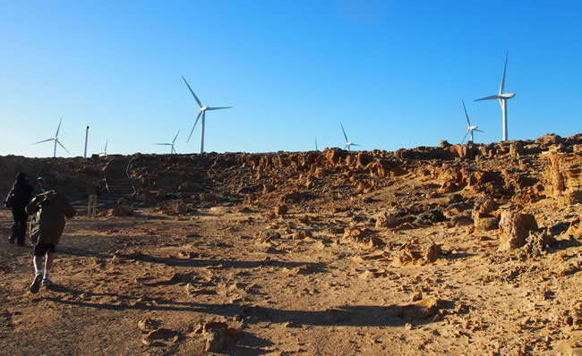 Fossil rocks, with wind turbines behind, at Cape Bridgewater near Portland, on Victoria's west coast, Australia.