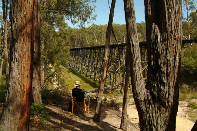Trestle rail bridge, Colquhoun State Forest, eastern Gippsland, Victoria, Australia.