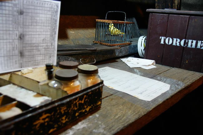 Mine canary, State Coal Mine, Wonthaggi, Victoria, Australia.