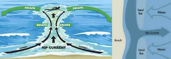 Rips at the beach. These diagrams show how rips work and will help you understand the pics below.