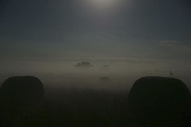 A misty morning, near Wonthaggi, Victoria, Australia.