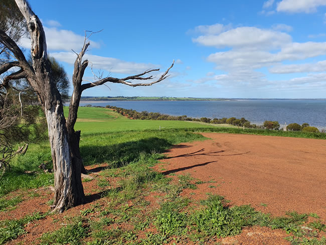 Lake Dumbleyung, from the Pussycat Hill lookout. Dumbleyung, Western Australia.