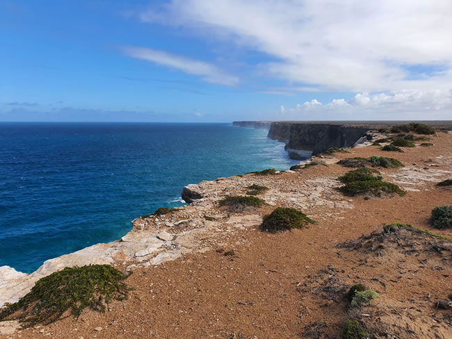 The Bunda Cliffs along the Nullarbor and extend 210 kilometres from the Western Australian border to the Head of the Bight in South Australia.