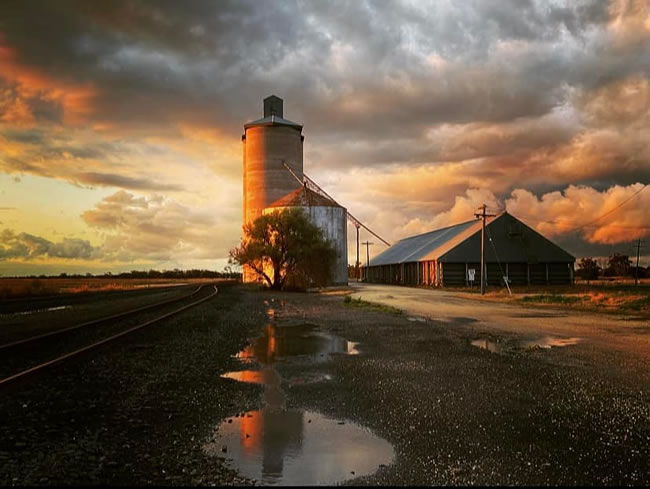 The railway line leads to the silos in the evening light at Minyip.