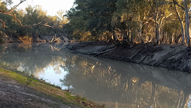 Peaceful reflections on the water of the Darling River.