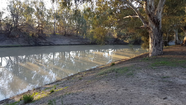 Morning light on the Darling River at the main campsite.