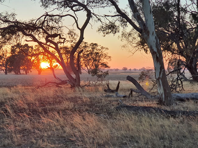 Sunset on a quiet evening south of Minyip. Just before the fires...