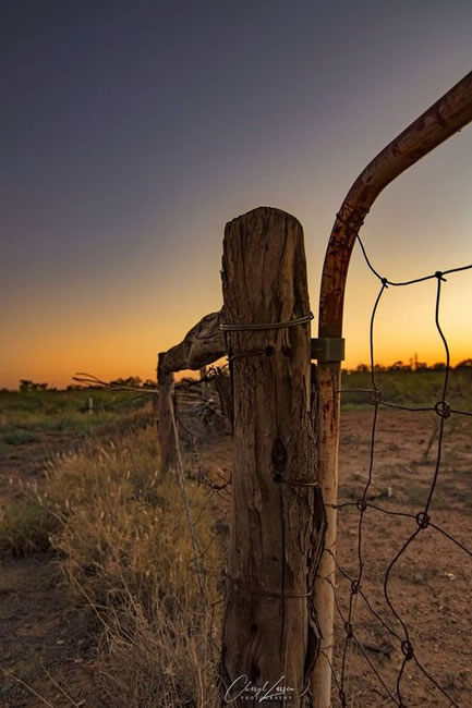 Rustic fence and gate, at Aramac, south west of Townsville.