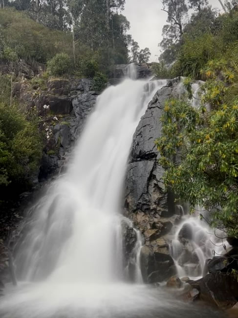 Steavenson Falls, near Marysville, Victoria.
