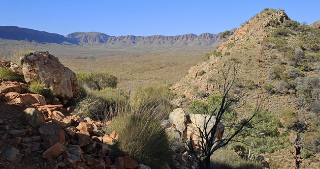 A grand view of Ormiston Gorge, taken from near the summit.